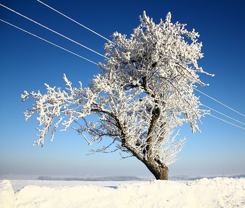 winterzauber 2010