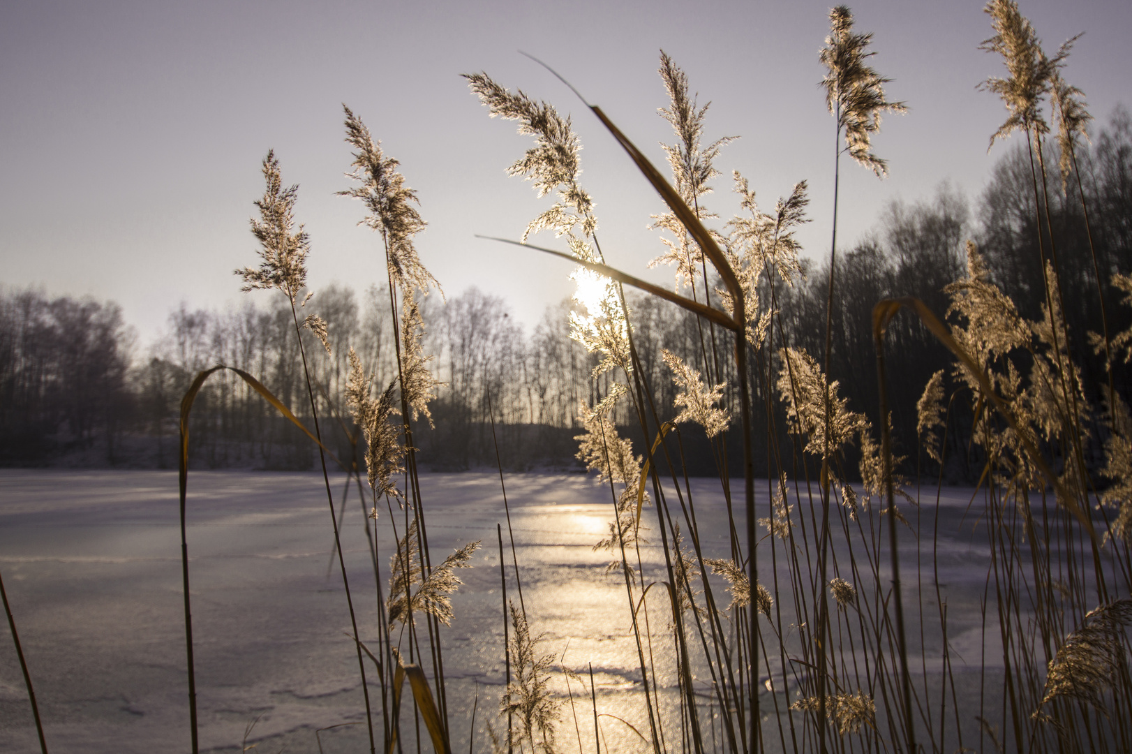 Winterzauber