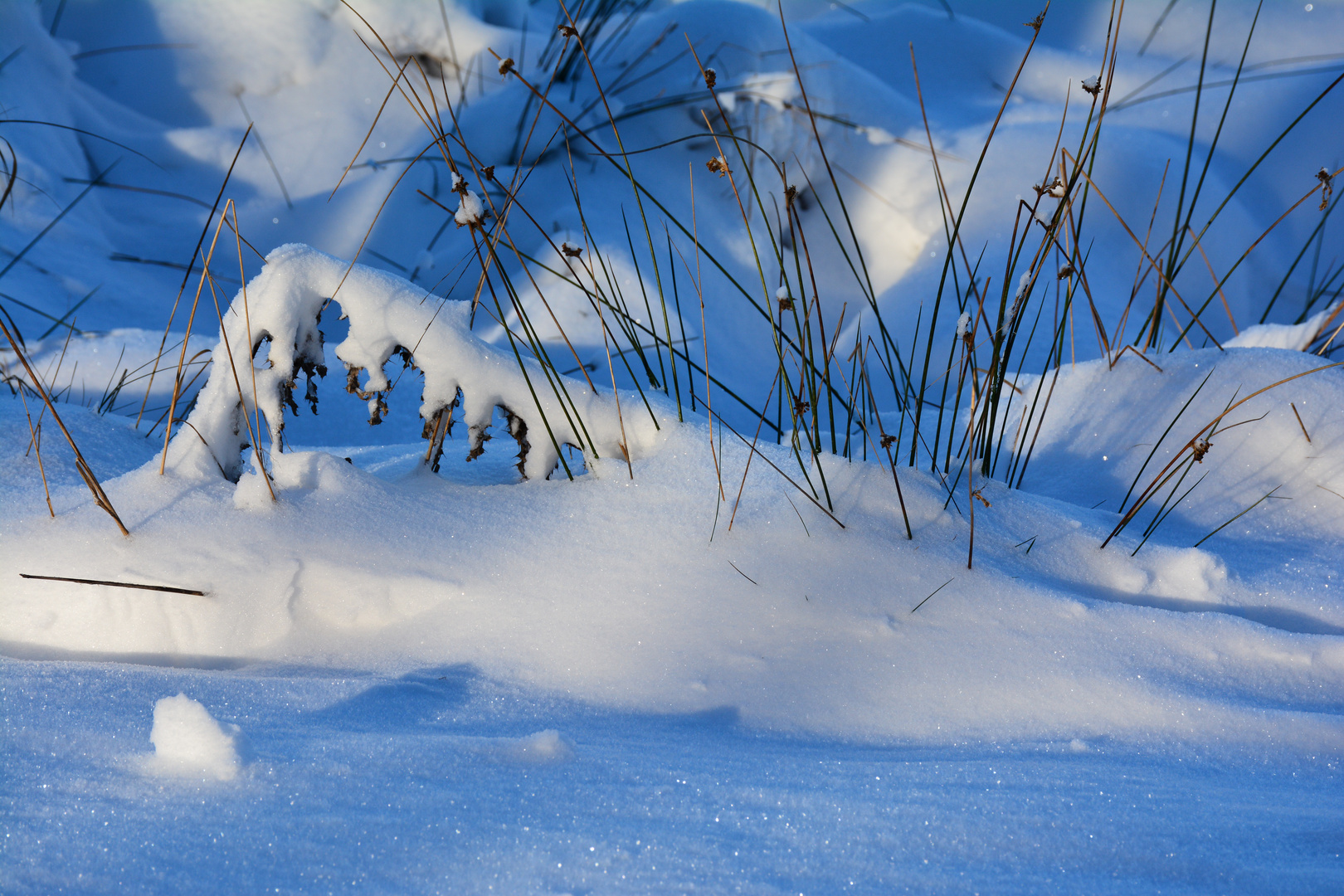 Winterzauber