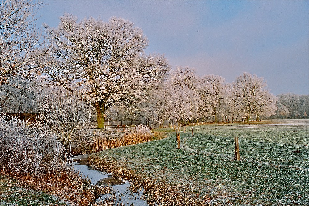 Winterzauber