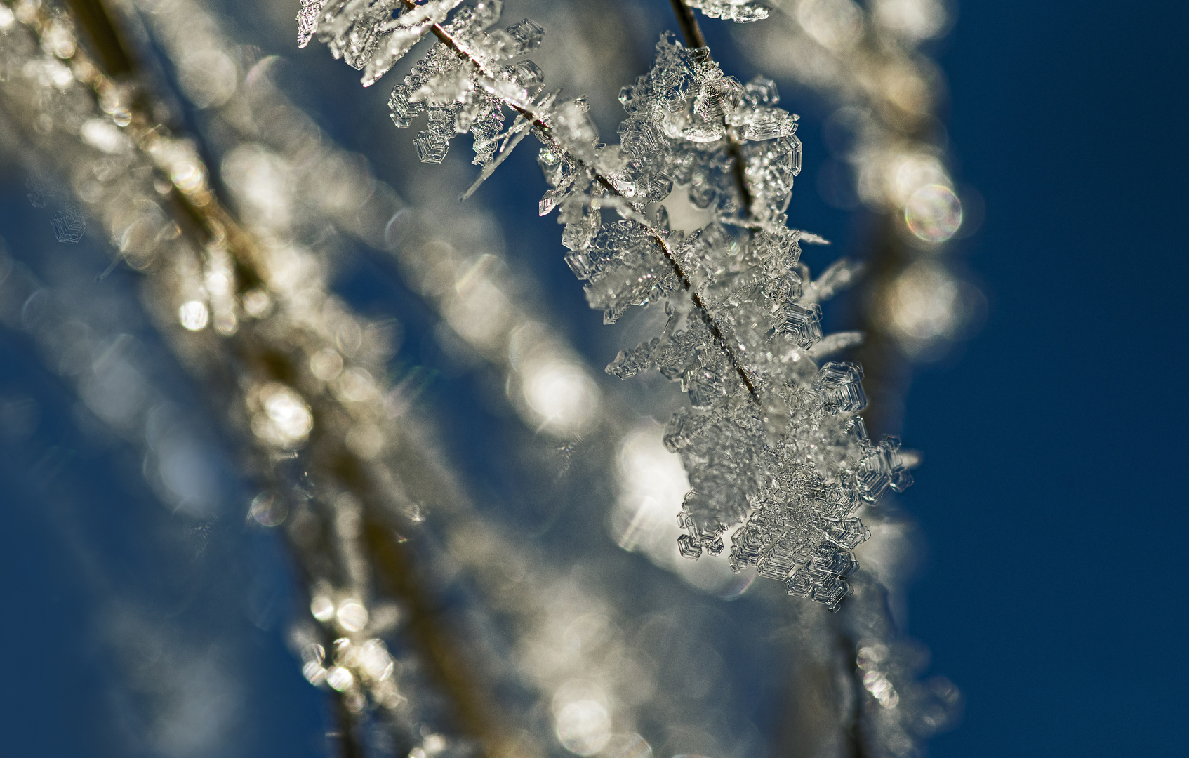 winterzauber