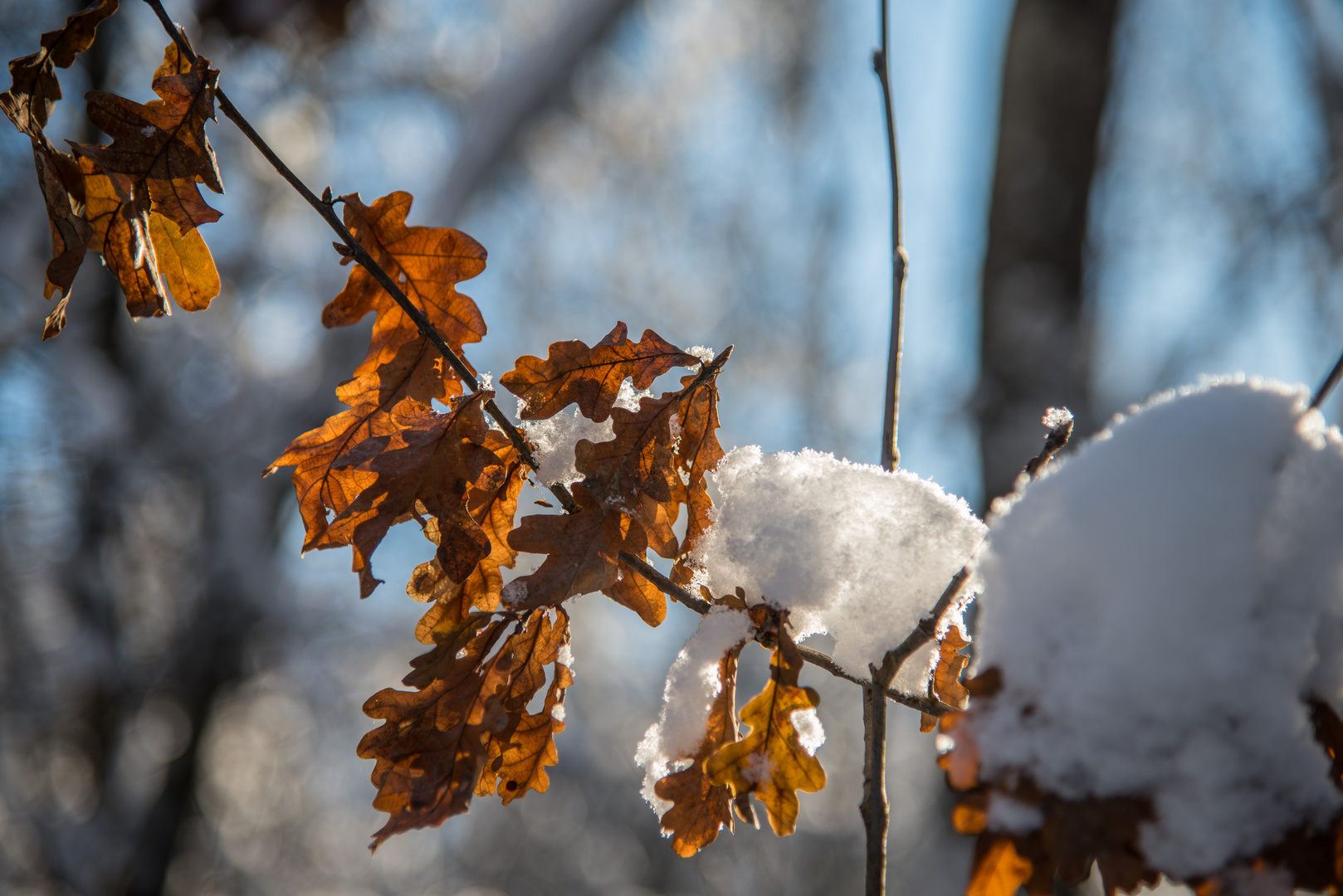 Winterzauber