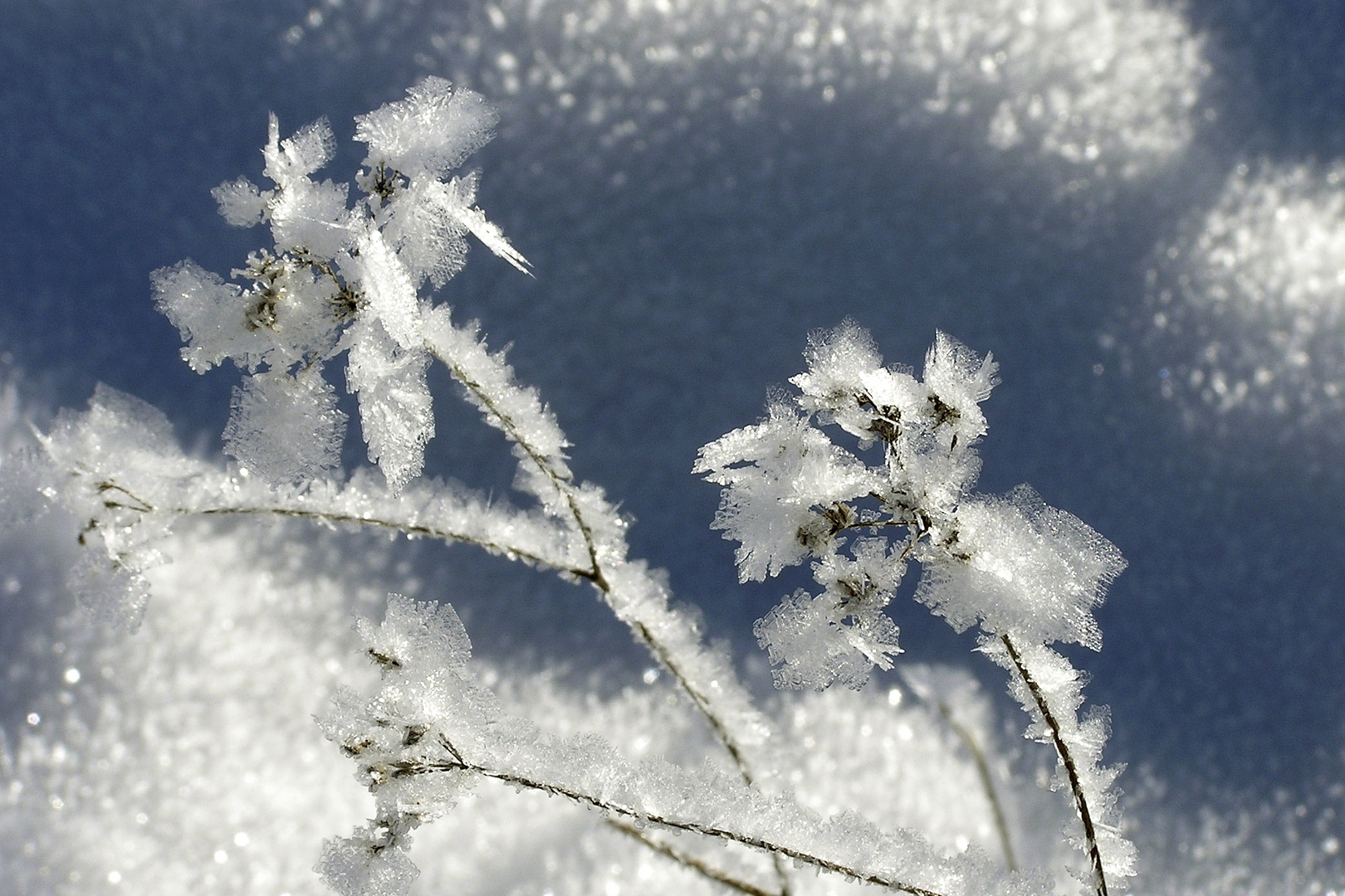 Winterzauber