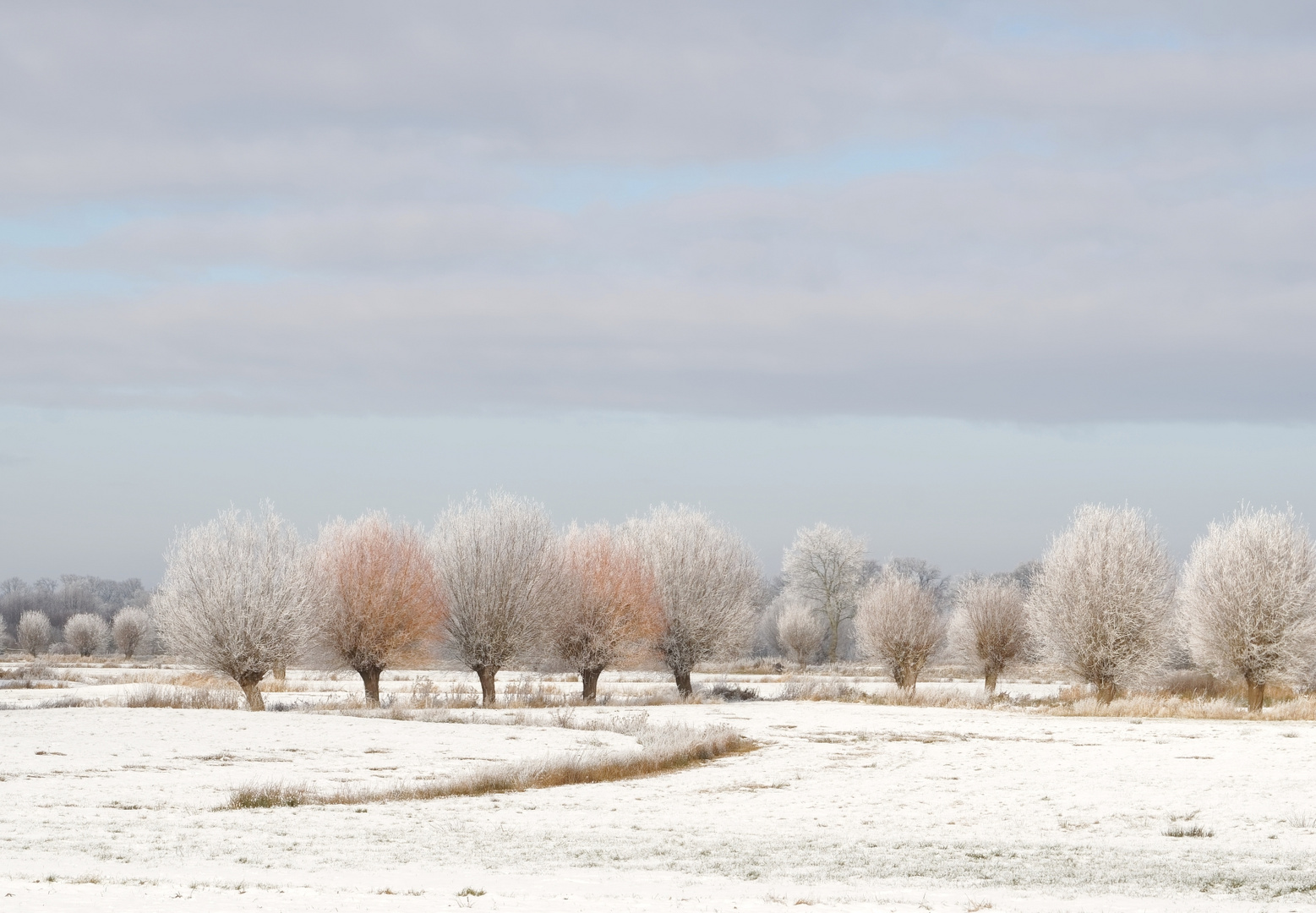 Winterzauber 