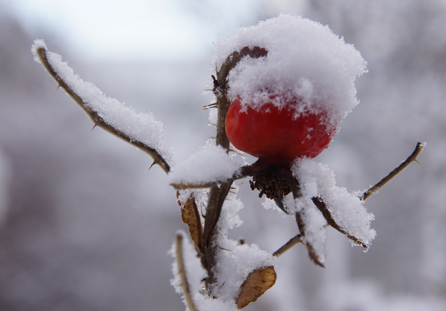 Winterzauber