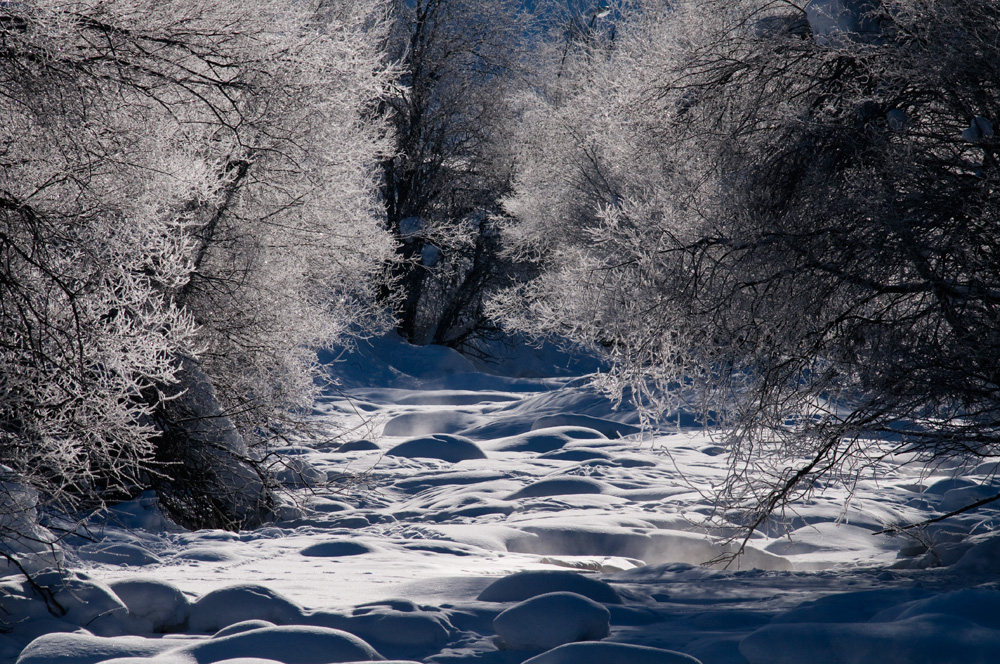 Winterzauber