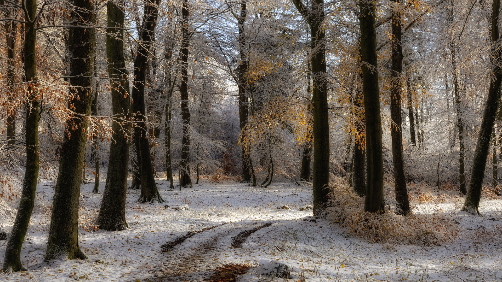 Winterzauber