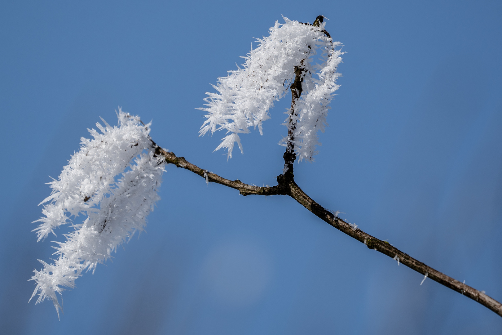 Winterzauber