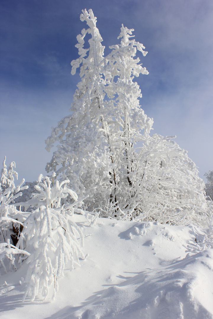 Winterzauber