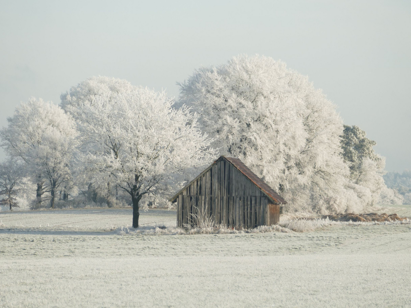 Winterzauber 