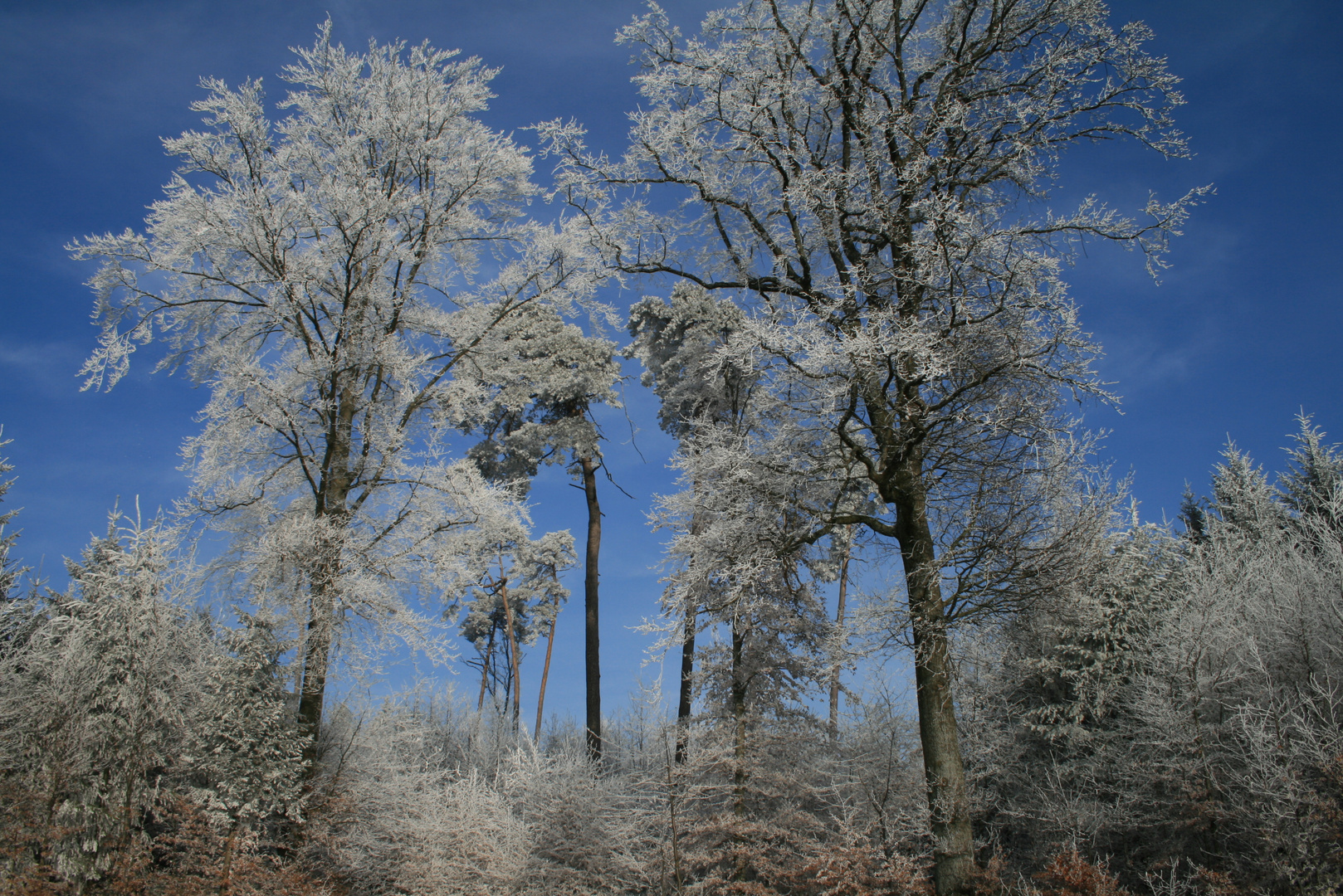 Winterzauber