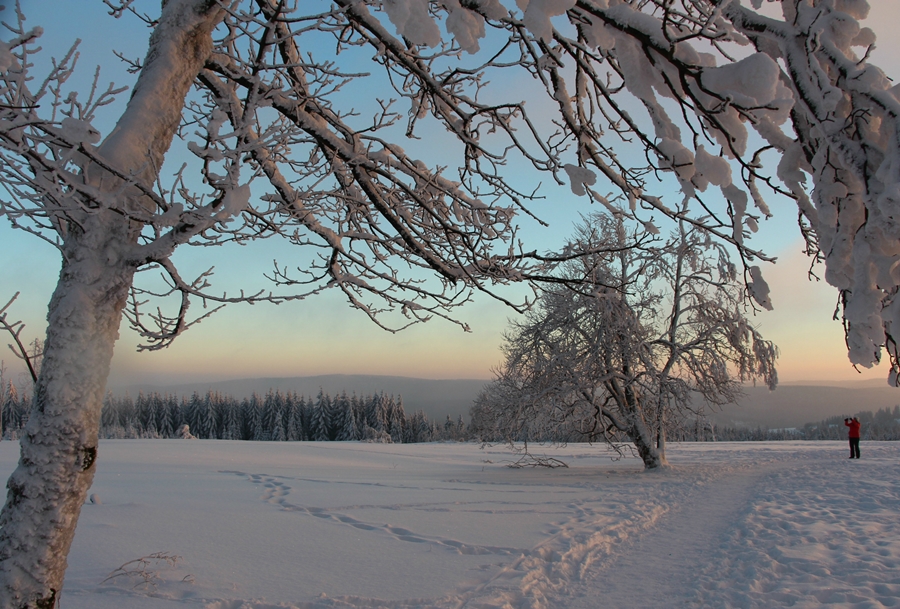 Winterzauber