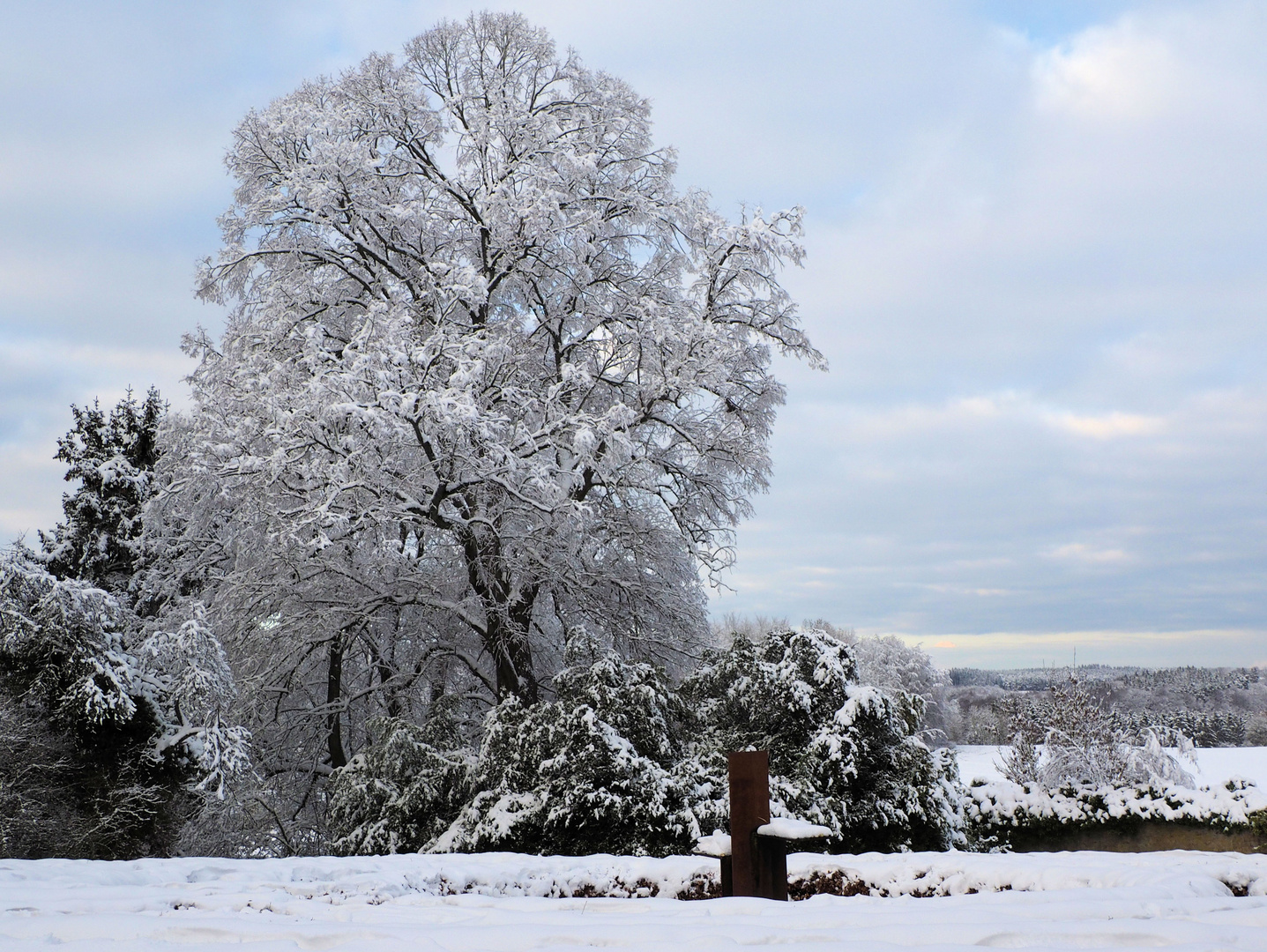 Winterzauber... 