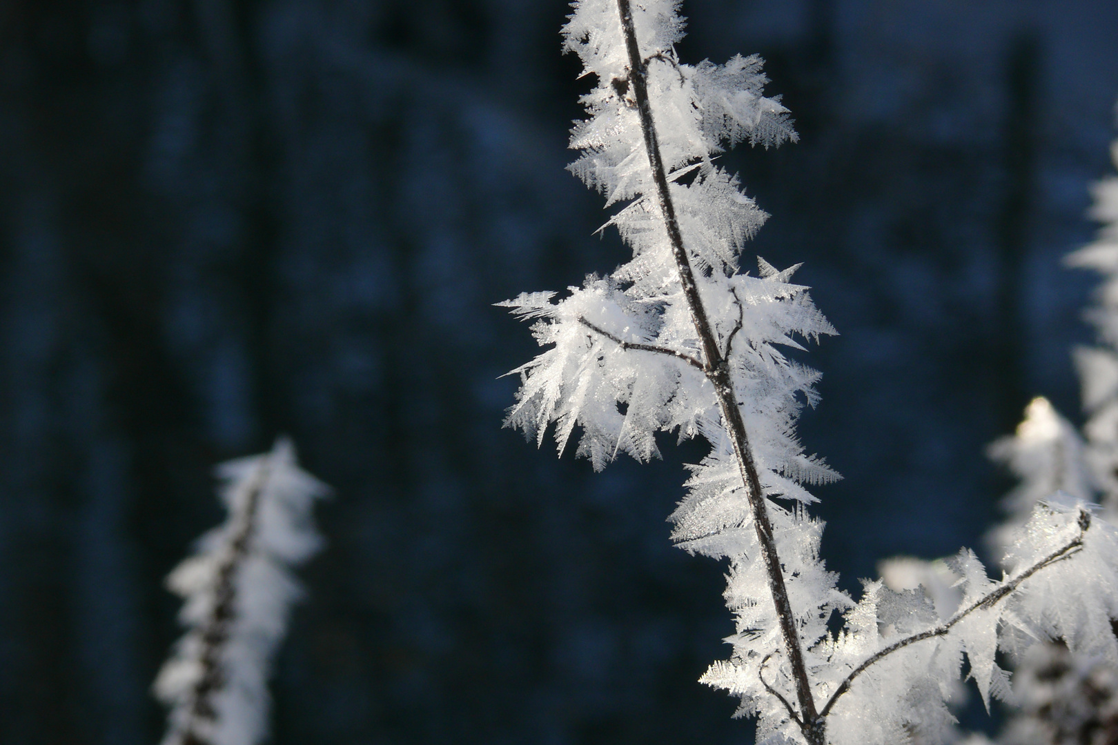 Winterzauber