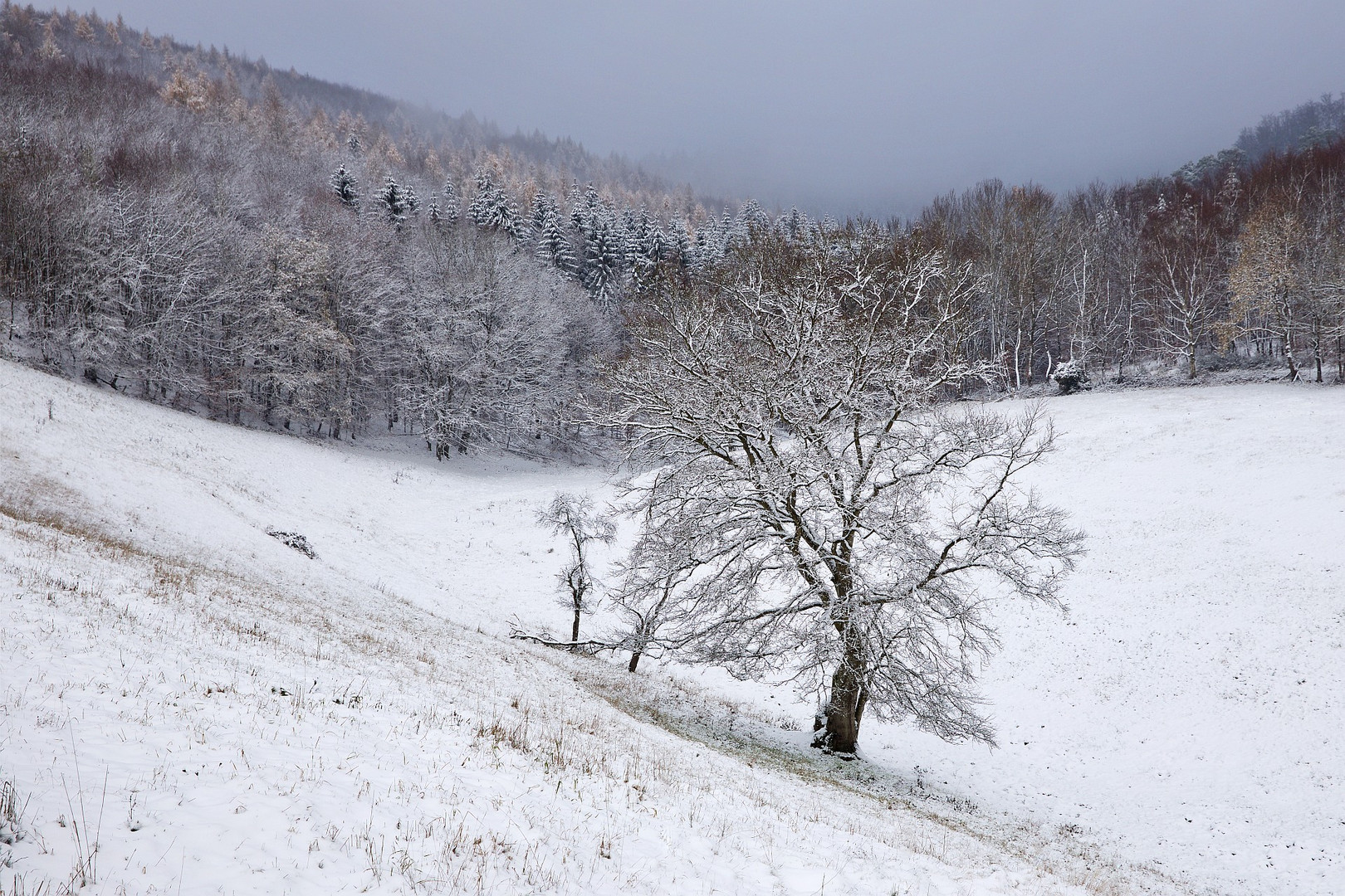 Winterzauber