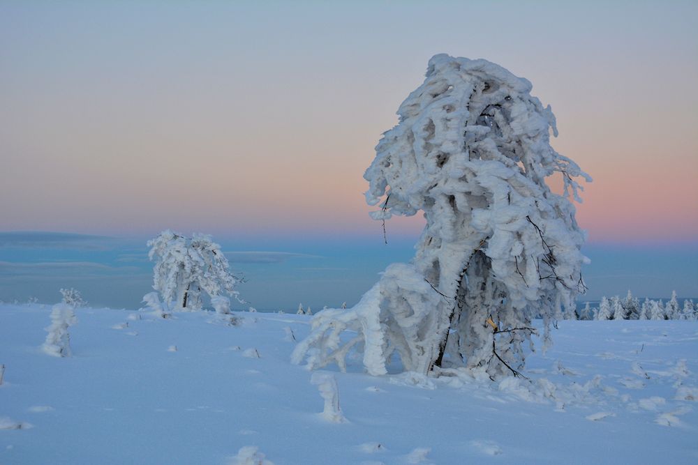 WINTERZAUBER 