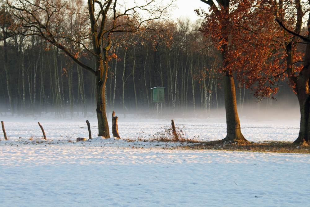 Winterzauber