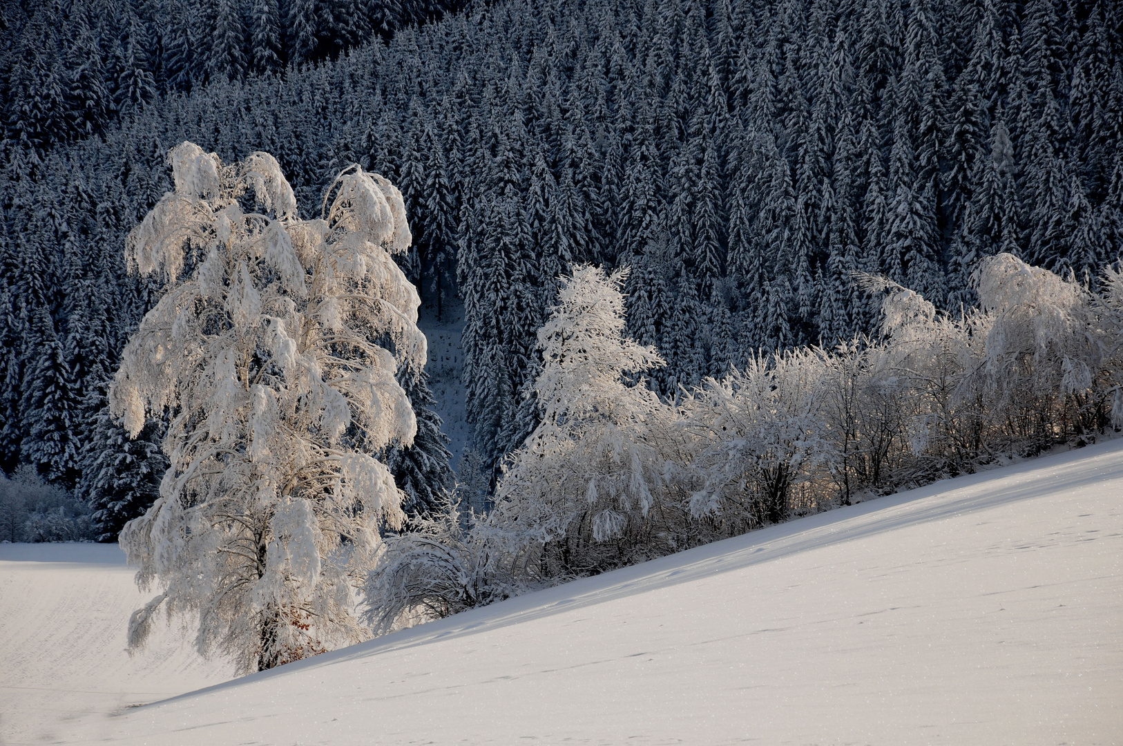 Winterzauber