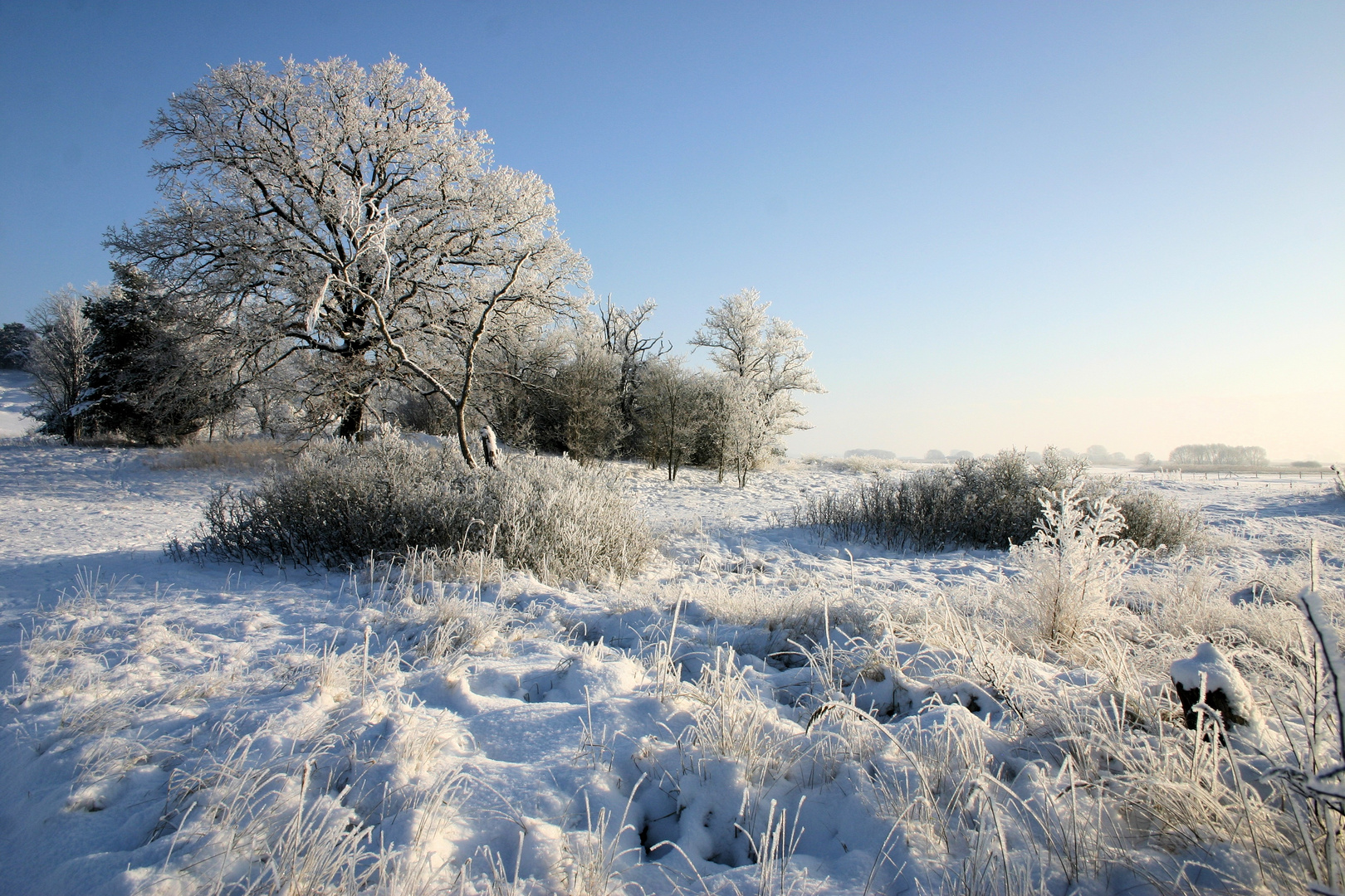 # WINTERZAUBER #