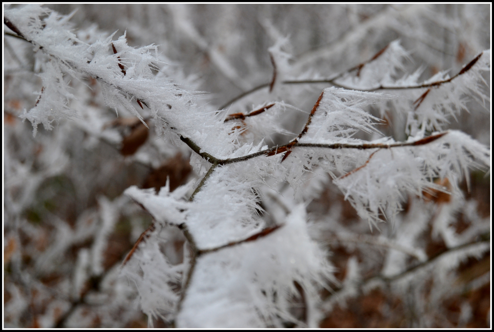 Winterzauber