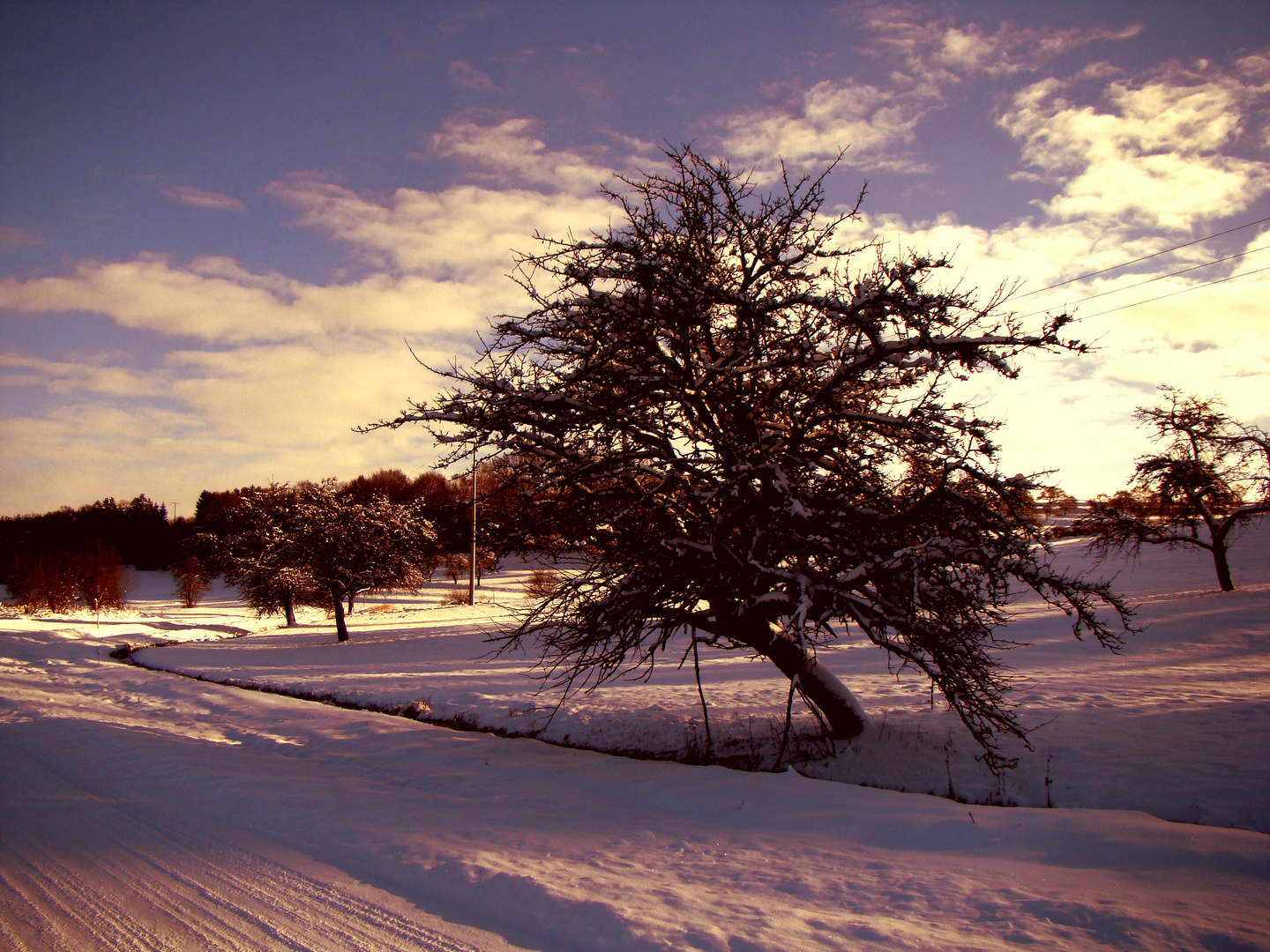 winterzauber