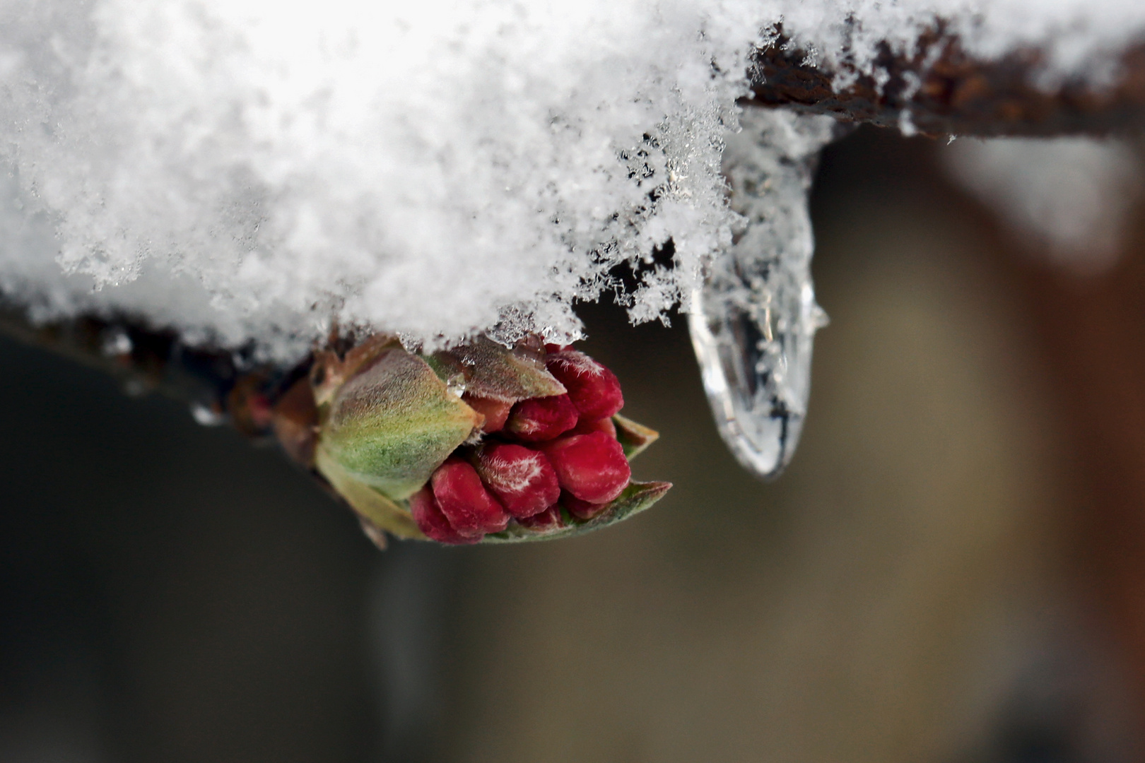 Winterzauber