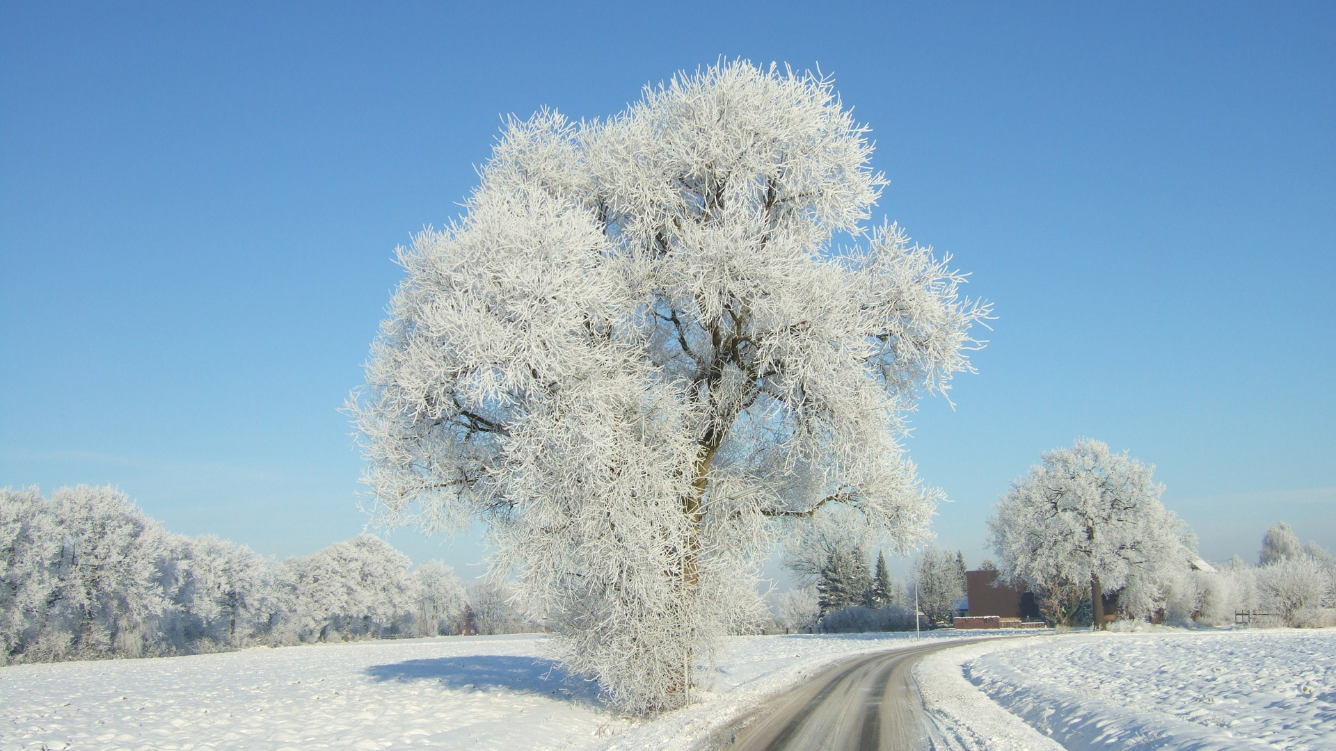 Winterzauber