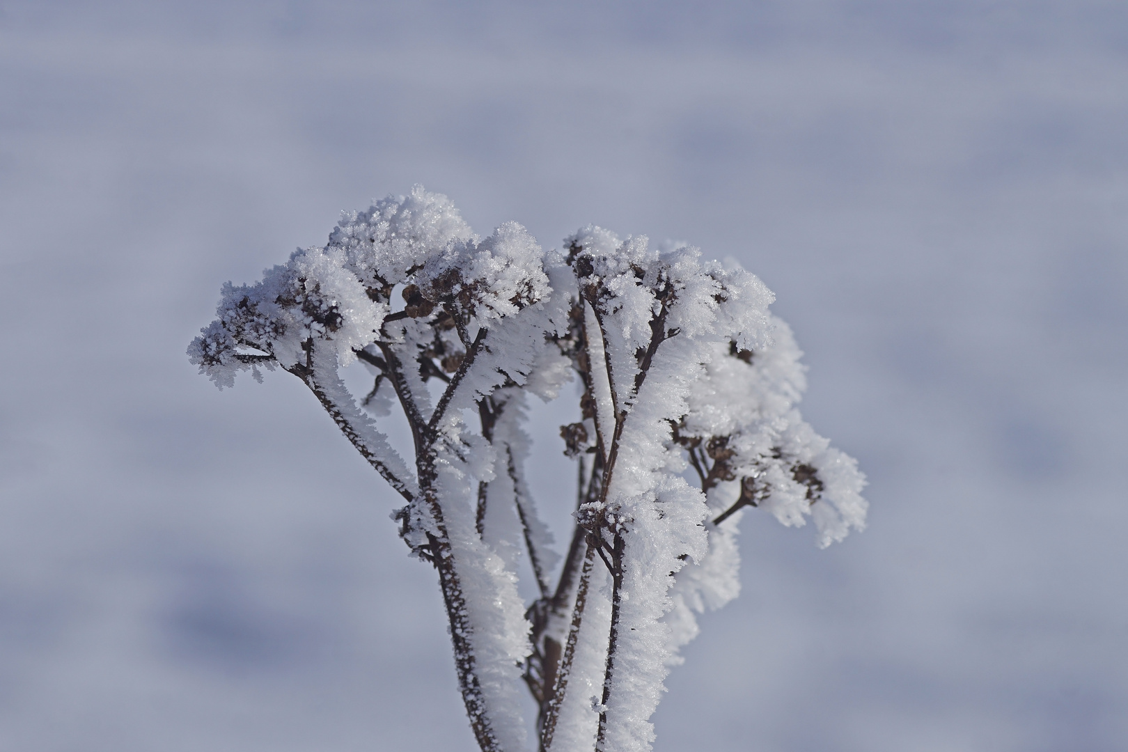 Winterzauber