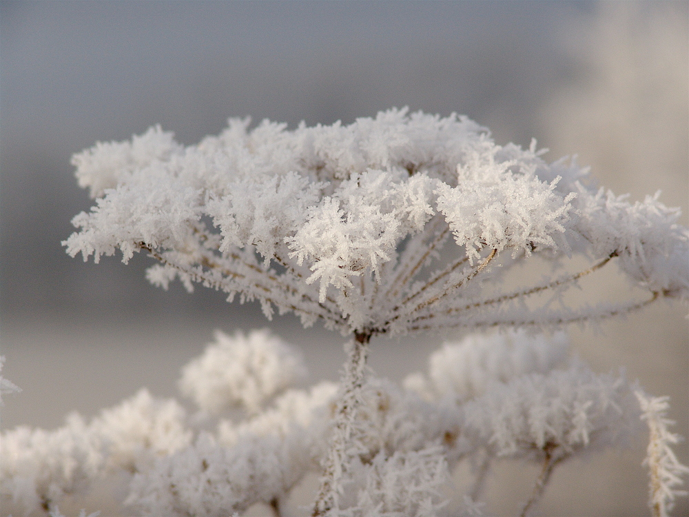 Winterzauber