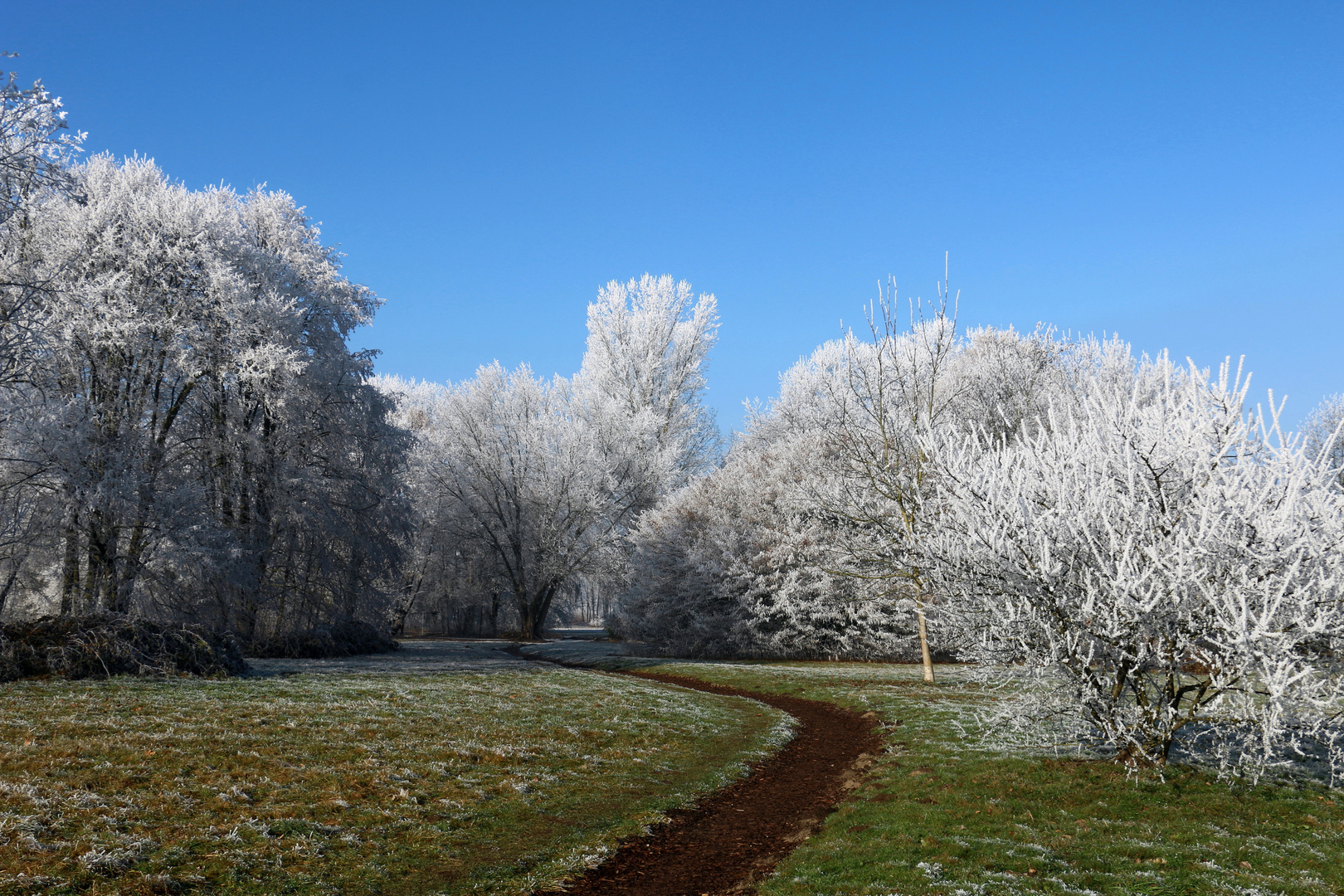 Winterzauber