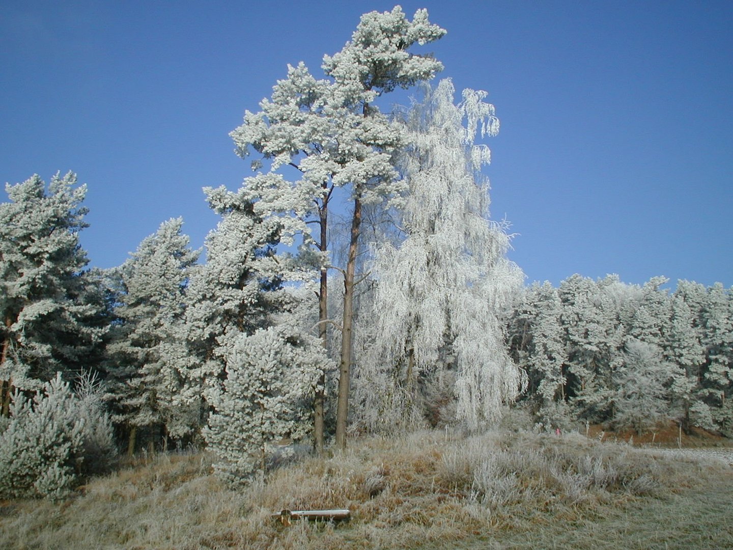 Winterzauber