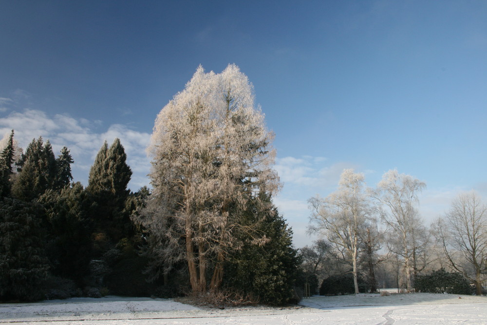 Winterzauber