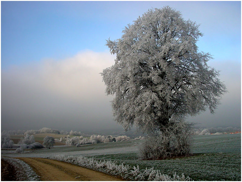 Winterzauber