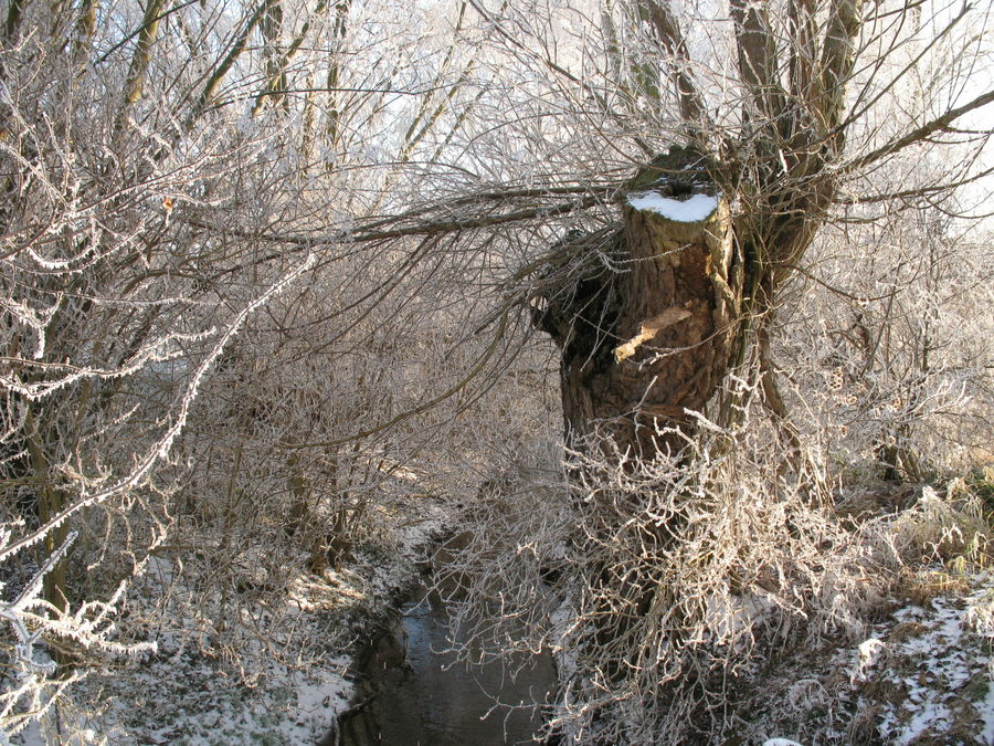 WINTERZAUBER AM BACH