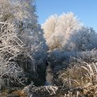 WINTERZAUBER AM BACHLAUF