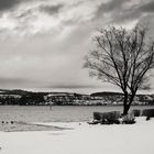 Winterzauber am Bodensee