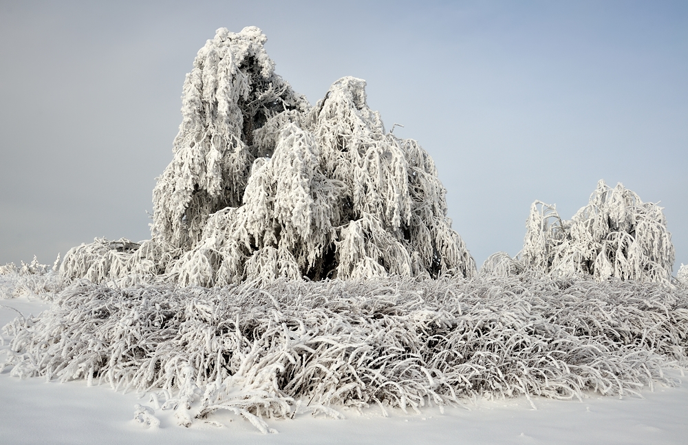 *Winterzauber am Erbeskopf IV*