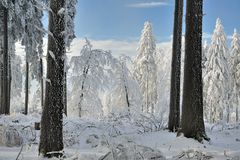 *Winterzauber am Erbeskopf VI*