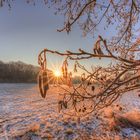 Winterzauber am frühen Morgen