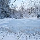 Winterzauber am Lasbachteich