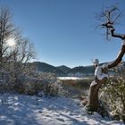 *Winterzauber am Meerfelder Maar*