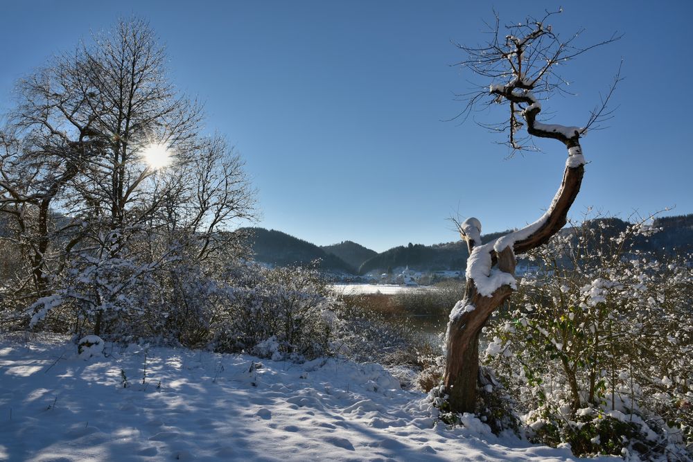 *Winterzauber am Meerfelder Maar*