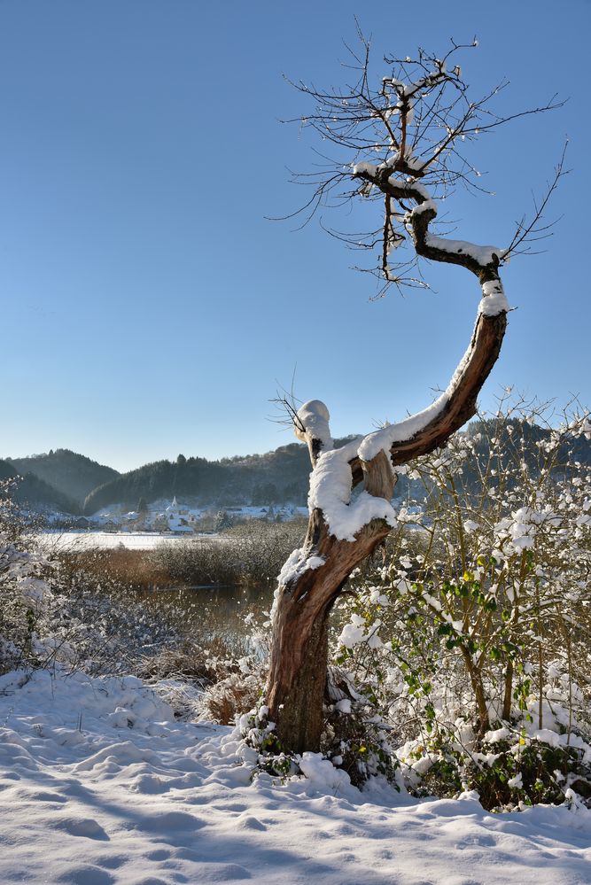 *Winterzauber am Meerfelder Maar II*