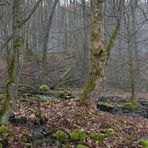 Winterzauber am Oberelsbacher Graben 02