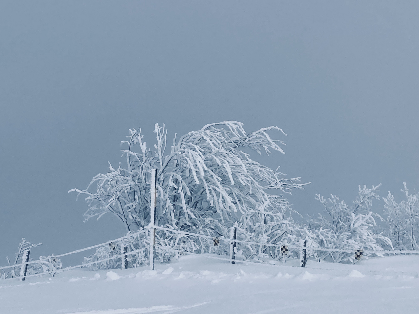 winterzauber am rossfeld