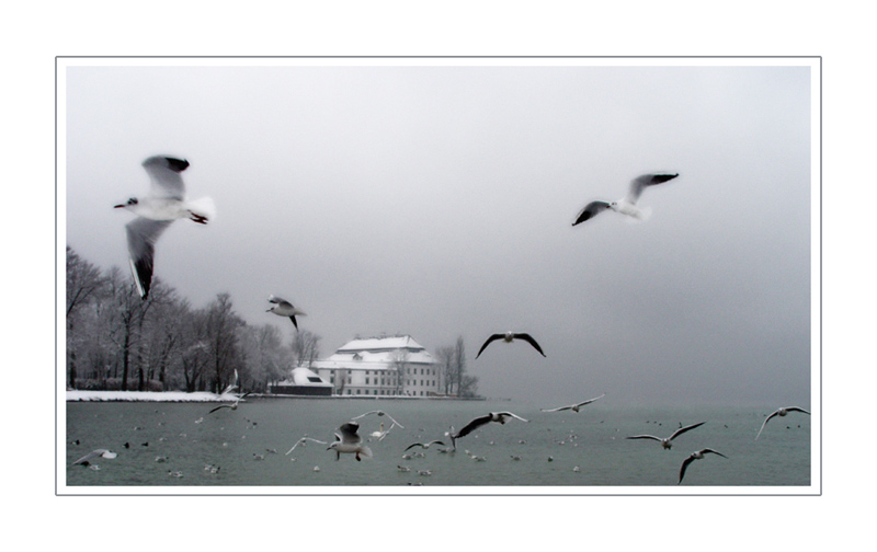 Winterzauber am See