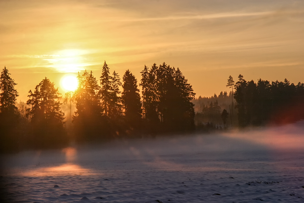 Winterzauber am Spätnachmittag