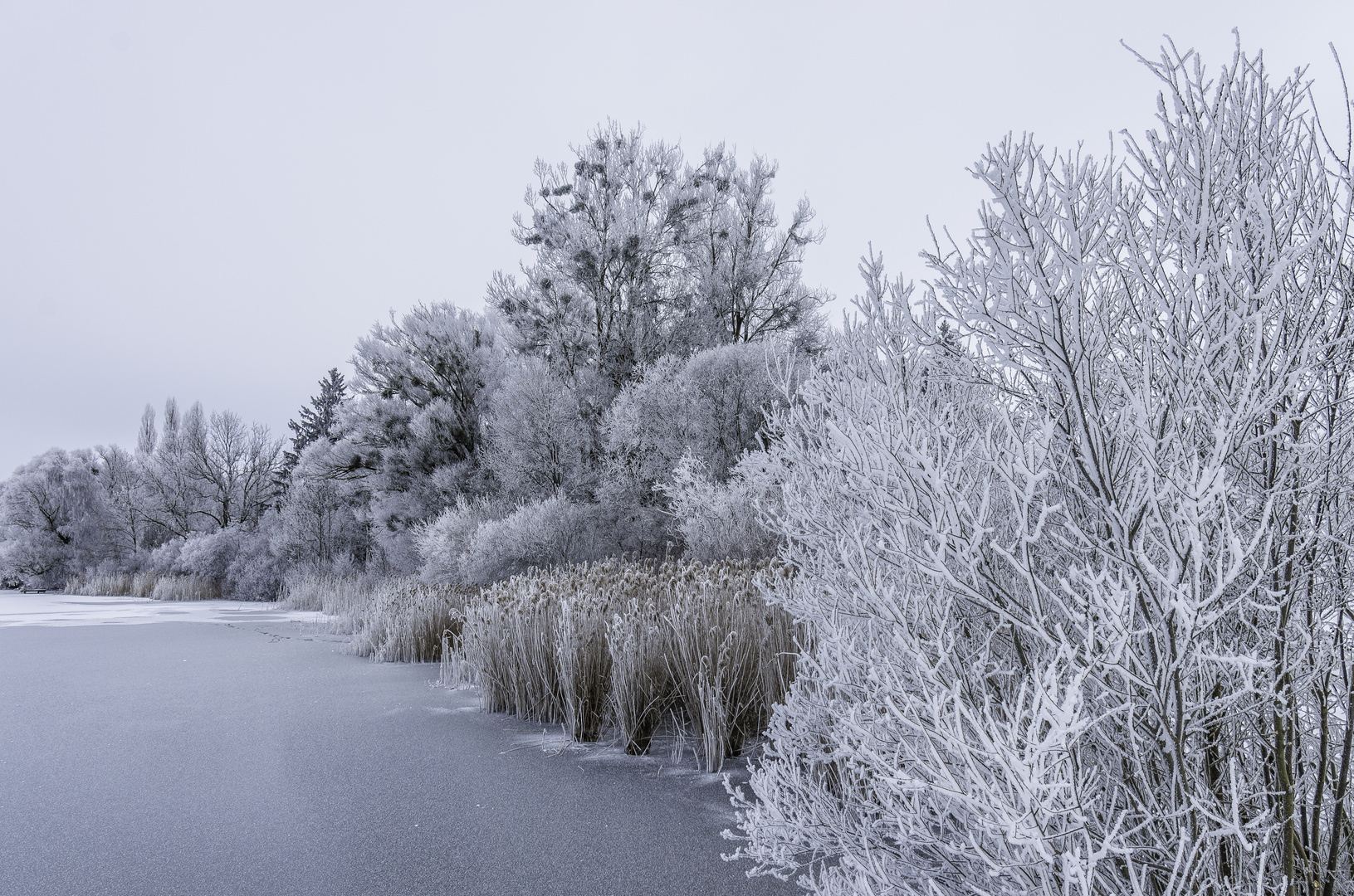 Winterzauber am Tachinger See