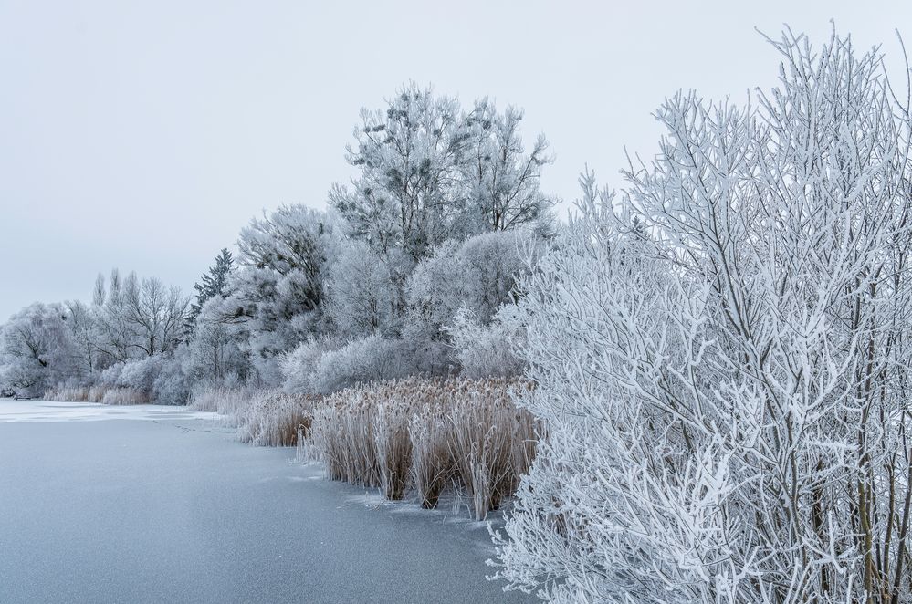 Winterzauber am Tachinger See