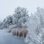 Winterzauber am Tachinger See